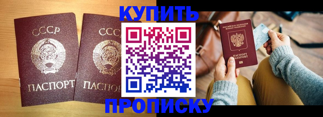 прописка 2025 в Стародубе